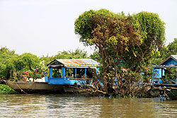 カンボジアのトンレサップ湖に沈む木と水上の家