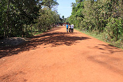 カンボジアのまっすぐな赤い道