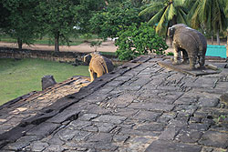 アンコール遺跡バコン寺院の象の石像