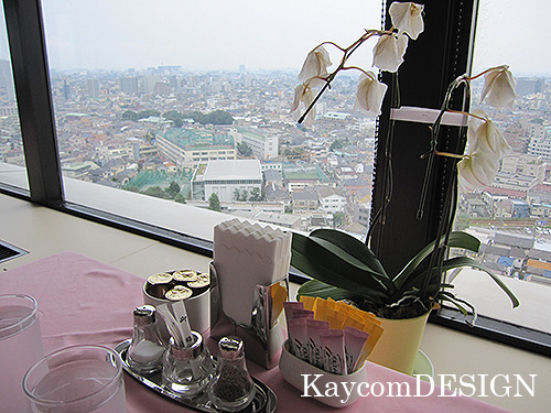 Cafe & dining　タワーレストラン昭和