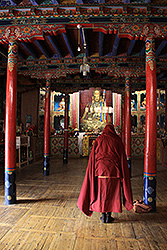 ラダックのチェムレ・ゴンパで祈る僧侶