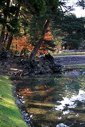 世界遺産平泉の毛越寺の庭園