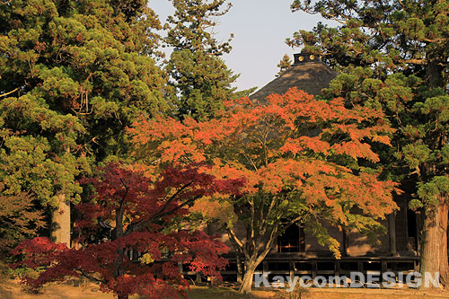 世界遺産平泉の毛越寺の夕暮れの庭園