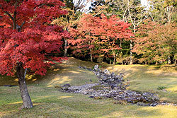 世界遺産の平泉の毛越寺の庭園