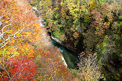 紅葉に燃える小安峡の森と皆瀬川