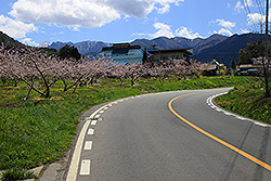 長野の北志賀高原をはしる道路
