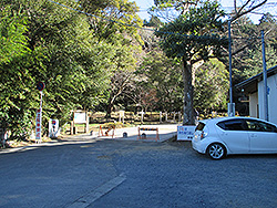 鹿島神宮の駐車場