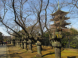 上野公園の重要文化財上野東照宮の五重塔 