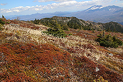 日本百名山の四阿山から見た浅間山