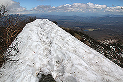 日本百名山の四阿山の山頂