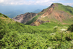 日本百名山の磐梯山のお花畑からの風景