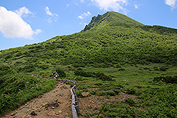 日本百名山の磐梯山のお花畑