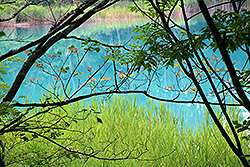磐梯高原の五色沼の弁天沼の青い水と赤い葉