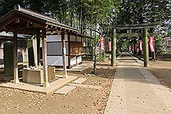 川越の三芳野神社の参道