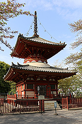 川越の喜多院の有形文化財の多宝塔