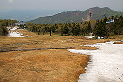 蔵王中央高原の樹氷原コースのゲレンデ