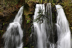 蔵王国定公園の不動滝