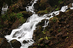 蔵王国定公園の不動滝の川