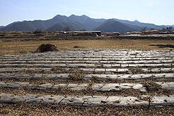 韓国の世界遺産河回村の畑