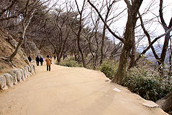 韓国の世界遺産仏国寺への山道