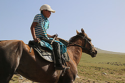 馬に乗って放牧する少年