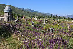 花畑の中にある墓地