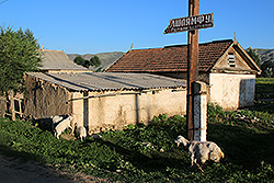 キルギスのチョンケミンの村