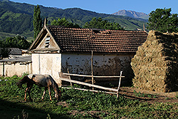 キルギスのチョンケミンの村の農家