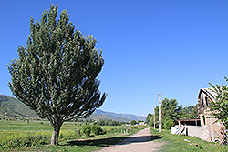 キルギスのチョンケミン渓谷