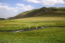 キルギスの渓谷の草原