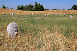 キルギスの世界遺産ブラナの草原に点在する石人