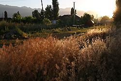 キルギスの早朝のチョンケミン渓谷
