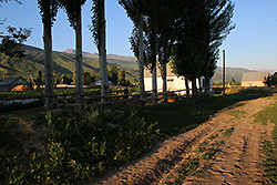 キルギスの早朝のチョンケミン渓谷