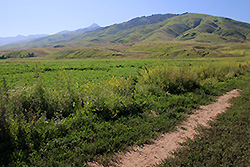キルギスのチョンケミン渓谷
