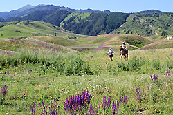 キルギスのチョンケミン渓谷の草原と馬に乗る少年
