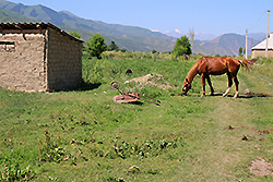 キルギスのチョンケミン渓谷の村と馬