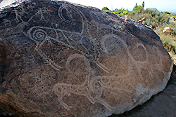 キルギスの岩絵野外博物館の岩絵
