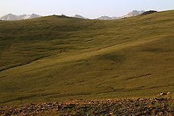 キルギスのソンクル湖畔の草原と天山山脈