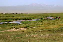 キルギスの大草原で放牧される馬と天山