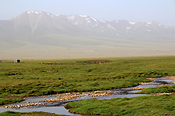 キルギスの大草原と天山
