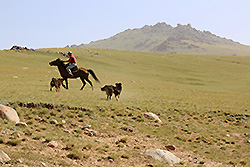 キルギスの草原を馬に乗って走る遊牧民