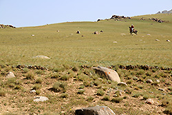 キルギスの草原を馬に乗って走る遊牧民
