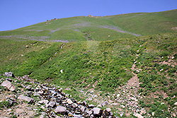 キルギスの天山の渓谷と花畑