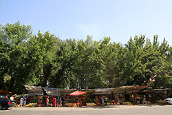 キルギスの果物の露店