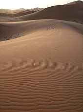朝日に輝くモロッコのサハラ砂漠