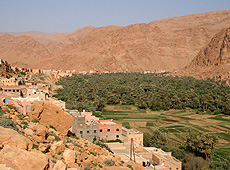モロッコの砂漠の中のオアシス
