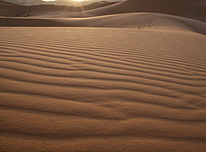 サハラ砂漠の朝日