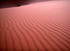 モロッコのサハラ砂漠の風紋