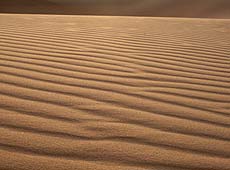 朝日に輝くモロッコのサハラ砂漠