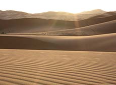 朝日が輝くモロッコのサハラ砂漠